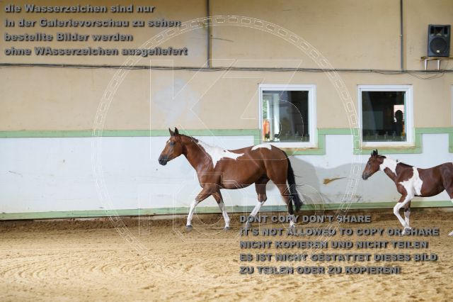 a_K3F03708.JPG
